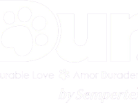 dur-trans-logo